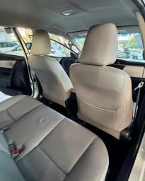 https://img.olx.com.br/thumbs256x256/50/506644325140332.jpg