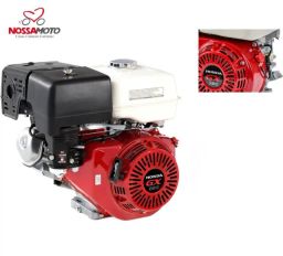 https://img.olx.com.br/thumbs256x256/50/507437667546334.jpg