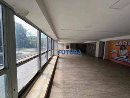 https://img.olx.com.br/thumbs256x256/50/507517407034480.jpg