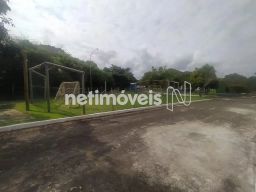 https://img.olx.com.br/thumbs256x256/50/507535046197761.jpg