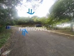 https://img.olx.com.br/thumbs256x256/50/508520162109169.jpg