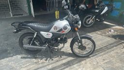 https://img.olx.com.br/thumbs256x256/50/508539030620317.jpg