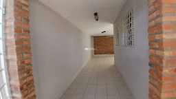 https://img.olx.com.br/thumbs256x256/50/508543642207241.jpg