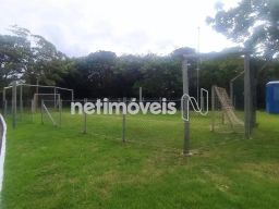 https://img.olx.com.br/thumbs256x256/50/508598162674466.jpg