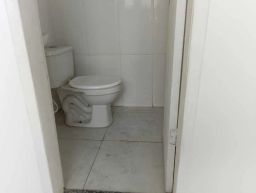 https://img.olx.com.br/thumbs256x256/50/509522749609445.jpg