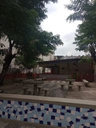 https://img.olx.com.br/thumbs256x256/50/509532525680995.jpg