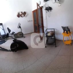 https://img.olx.com.br/thumbs256x256/50/509556520056784.jpg