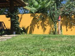 https://img.olx.com.br/thumbs256x256/50/509584392889570.jpg