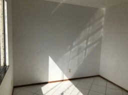 https://img.olx.com.br/thumbs256x256/51/510547408974966.jpg