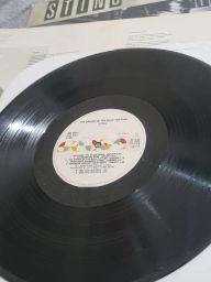 https://img.olx.com.br/thumbs256x256/51/510622192833423.jpg