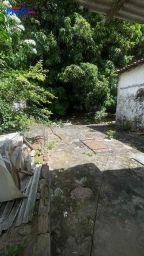 https://img.olx.com.br/thumbs256x256/51/511516763296975.jpg