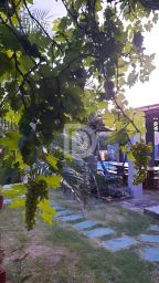 https://img.olx.com.br/thumbs256x256/51/511540873742417.jpg