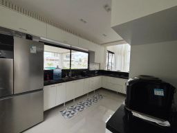 https://img.olx.com.br/thumbs256x256/51/511549284830061.jpg