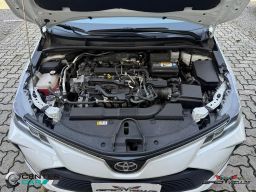 https://img.olx.com.br/thumbs256x256/51/511609550307438.jpg