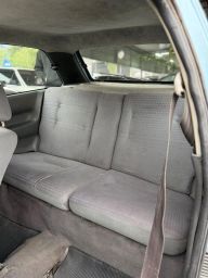 https://img.olx.com.br/thumbs256x256/51/511654569398263.jpg
