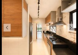https://img.olx.com.br/thumbs256x256/51/511661446274350.jpg