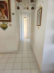 https://img.olx.com.br/thumbs256x256/51/512560636315243.jpg