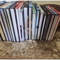 https://img.olx.com.br/thumbs256x256/51/512628447613593.jpg