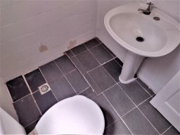 https://img.olx.com.br/thumbs256x256/51/513527521306999.jpg