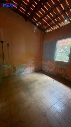 https://img.olx.com.br/thumbs256x256/51/513553284045261.jpg