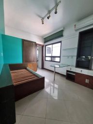 https://img.olx.com.br/thumbs256x256/51/514543151596267.jpg