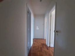 https://img.olx.com.br/thumbs256x256/51/515553407279777.jpg