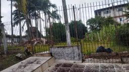https://img.olx.com.br/thumbs256x256/51/515558035379985.jpg