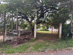 https://img.olx.com.br/thumbs256x256/51/515562647590475.jpg