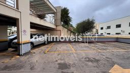 https://img.olx.com.br/thumbs256x256/51/516522878805676.jpg