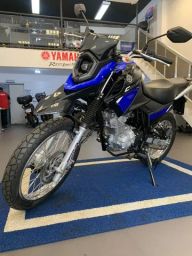https://img.olx.com.br/thumbs256x256/51/518470755822311.jpg