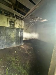 https://img.olx.com.br/thumbs256x256/51/518536765617007.jpg
