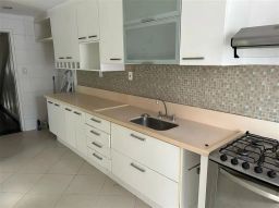 https://img.olx.com.br/thumbs256x256/51/519508641561425.jpg