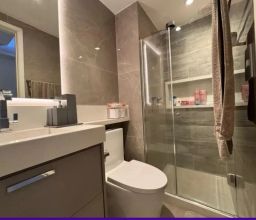 https://img.olx.com.br/thumbs256x256/51/519509762885572.jpg