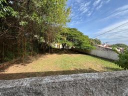 https://img.olx.com.br/thumbs256x256/51/519557169642911.jpg