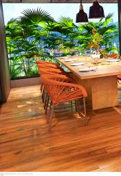 https://img.olx.com.br/thumbs256x256/52/520533169189103.jpg