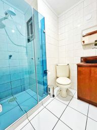 https://img.olx.com.br/thumbs256x256/52/520554752886426.jpg