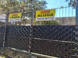 https://img.olx.com.br/thumbs256x256/52/520561155049130.jpg