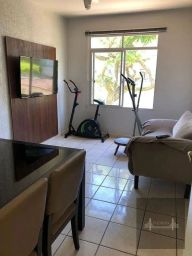 https://img.olx.com.br/thumbs256x256/52/520571646139463.jpg