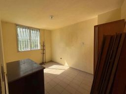 https://img.olx.com.br/thumbs256x256/52/520594630195866.jpg