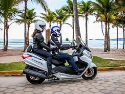 https://img.olx.com.br/thumbs256x256/52/522412623493246.jpg