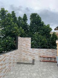 https://img.olx.com.br/thumbs256x256/52/522507164053823.jpg