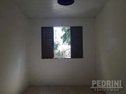 https://img.olx.com.br/thumbs256x256/52/522511394245894.jpg