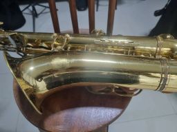 https://img.olx.com.br/thumbs256x256/52/522560408470817.jpg
