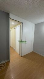 https://img.olx.com.br/thumbs256x256/52/523617561716101.jpg