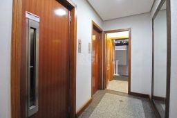 https://img.olx.com.br/thumbs256x256/52/525503761334484.jpg