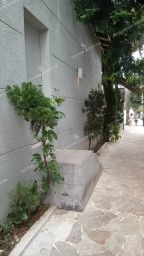 https://img.olx.com.br/thumbs256x256/52/525608300239519.jpg