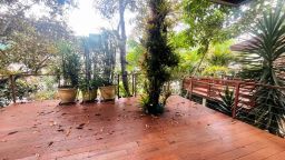https://img.olx.com.br/thumbs256x256/52/526512889730293.jpg