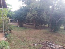 https://img.olx.com.br/thumbs256x256/52/527364718439138.jpg