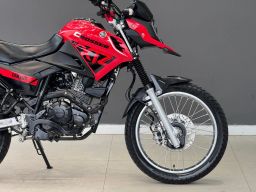 https://img.olx.com.br/thumbs256x256/52/527420579325463.jpg