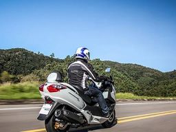 https://img.olx.com.br/thumbs256x256/52/527437262854869.jpg
